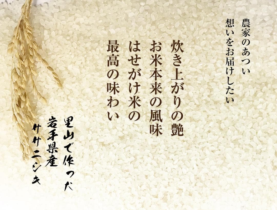 【新米】令和7年 昔ながらの「稲架掛け米」天日干し ササニシキ 白米 10Kg