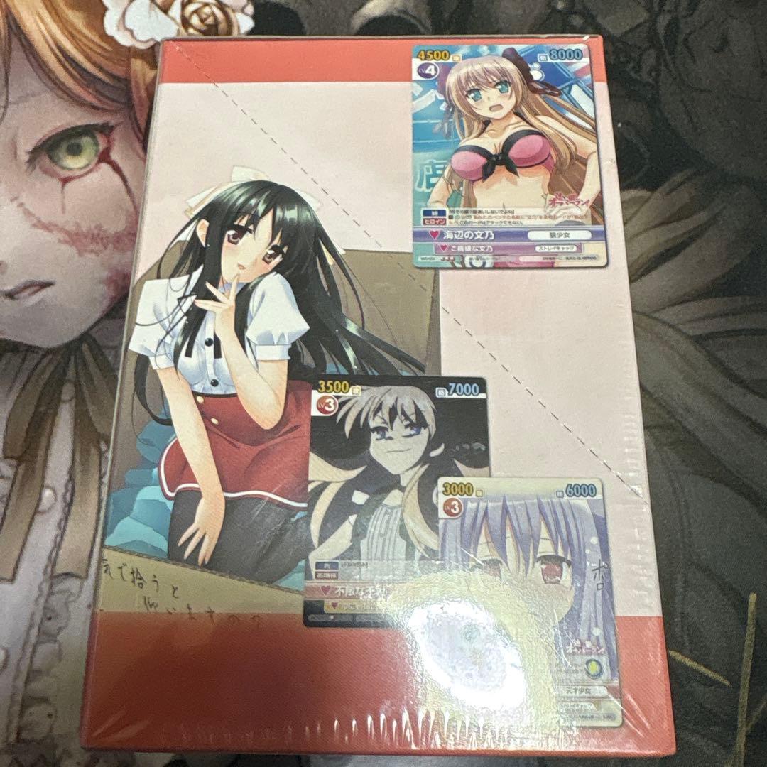 ヴィクトリースパーク　迷い猫オーバーラン　未開封パック　ボックス