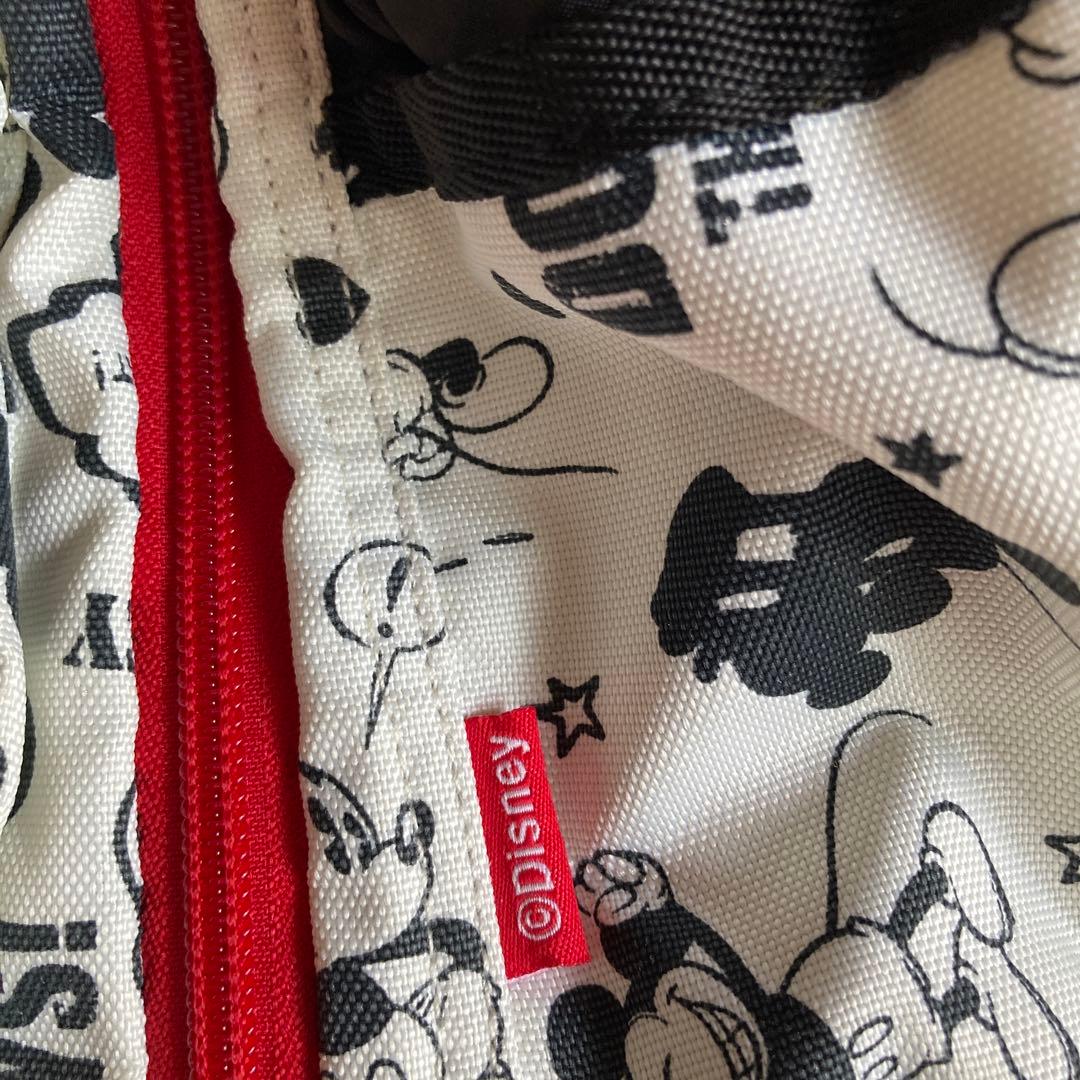 Disneyペット抱っこキャリー未使用品
