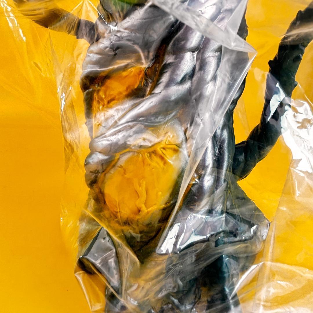 マルサン　ビオランテ（花）Ver １期