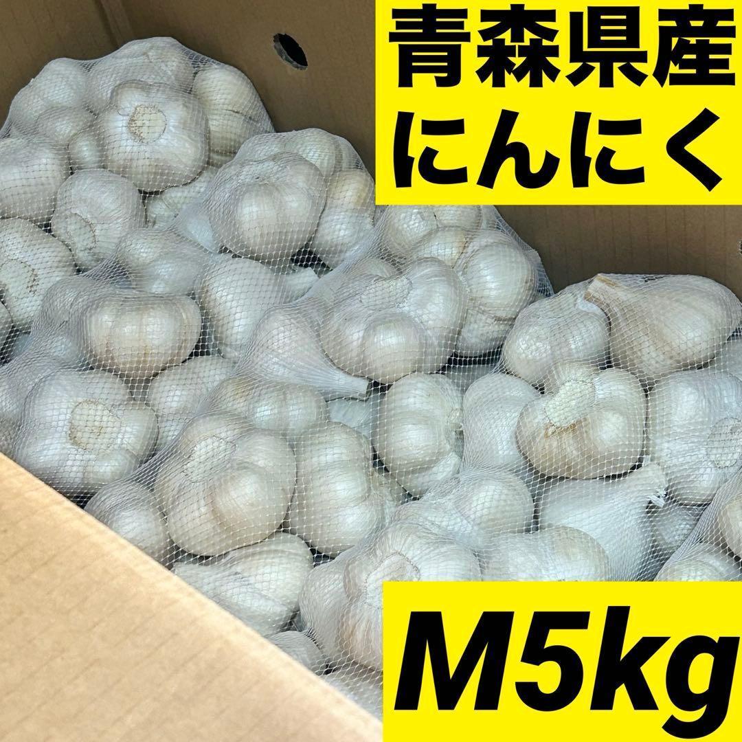 【お買い時】青森県産にんにく M 5kg福地ホワイト六片 激安 家庭用 加工用