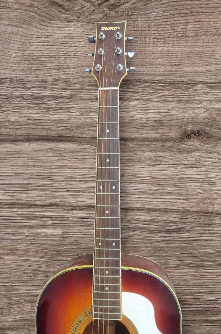 Morris アコースティックギター サンバースト ギブソン風ピックガード