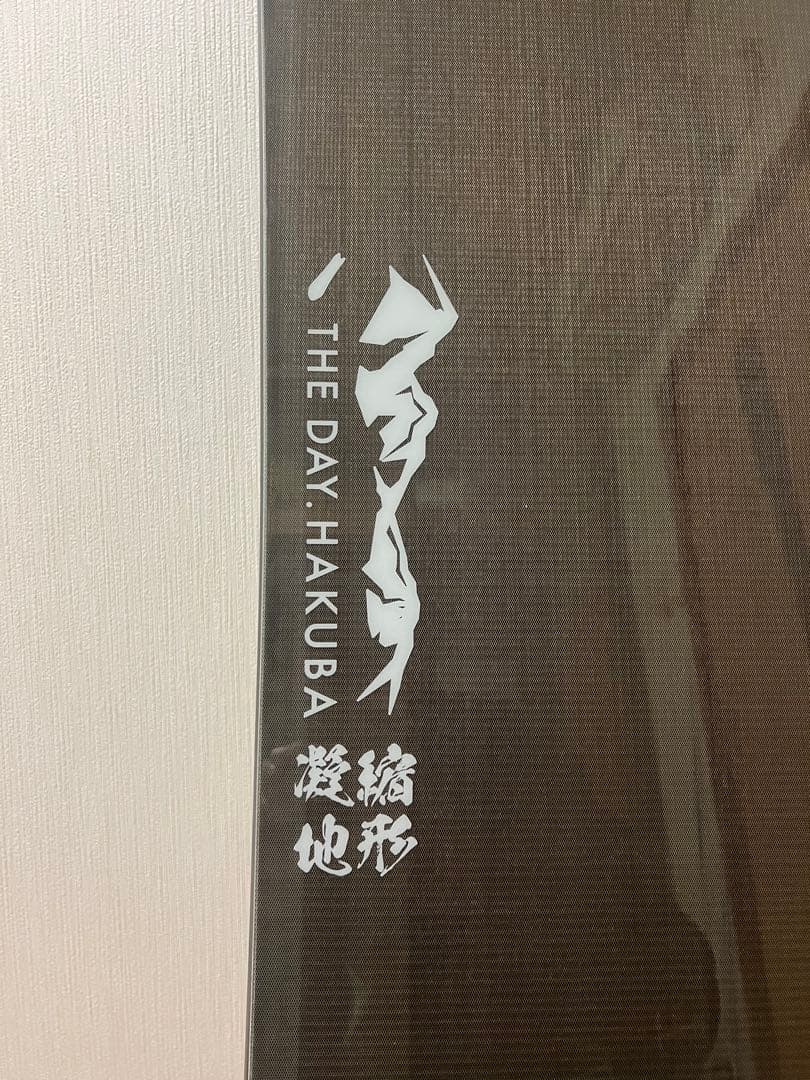 THE DAY HAKUBA 凝縮地形 パウダーボード ツリーラン スノーボード