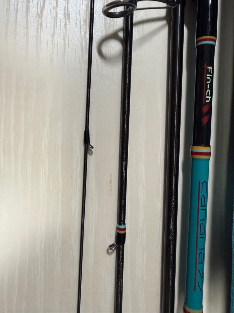 フィンチ fin-ch カナリア　アゾレス77