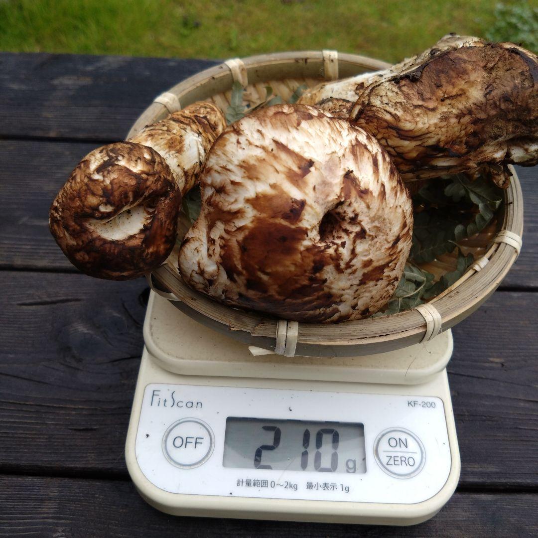 岩手県産マツタケ211g傷あり