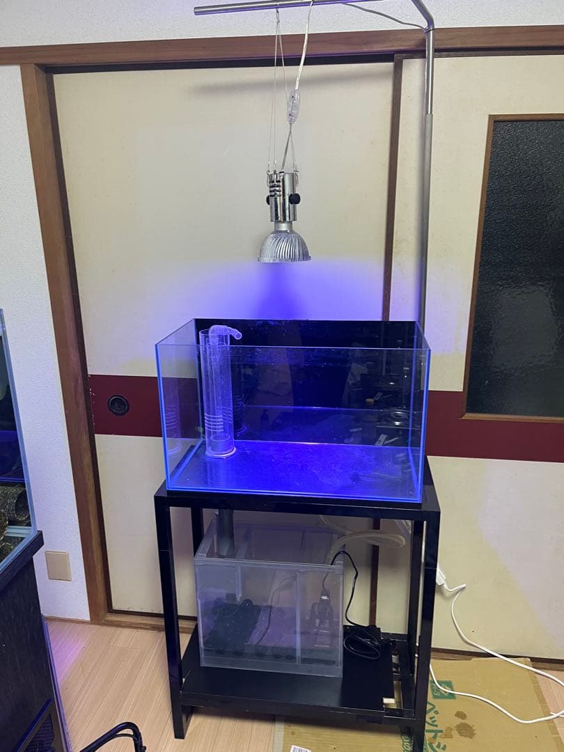 オーバーフロー60cmガラス水槽フルセット