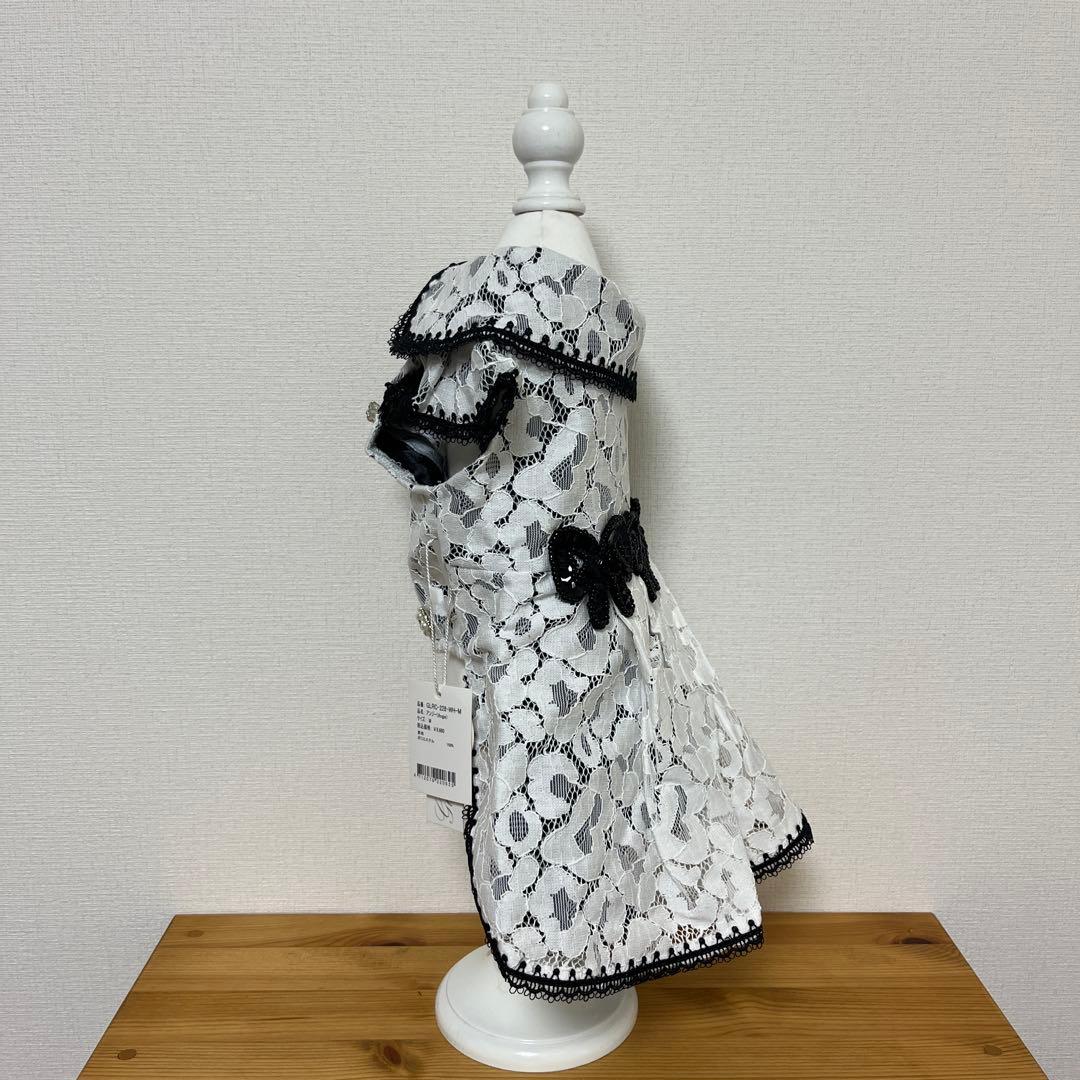 グラマーイズム アンジー Mサイズ ワンピース お嬢様 ワンピ