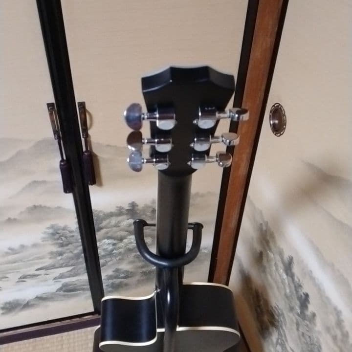 アコースティックギター 黒 ブラック　カスタム　Tay○or パールシェル製