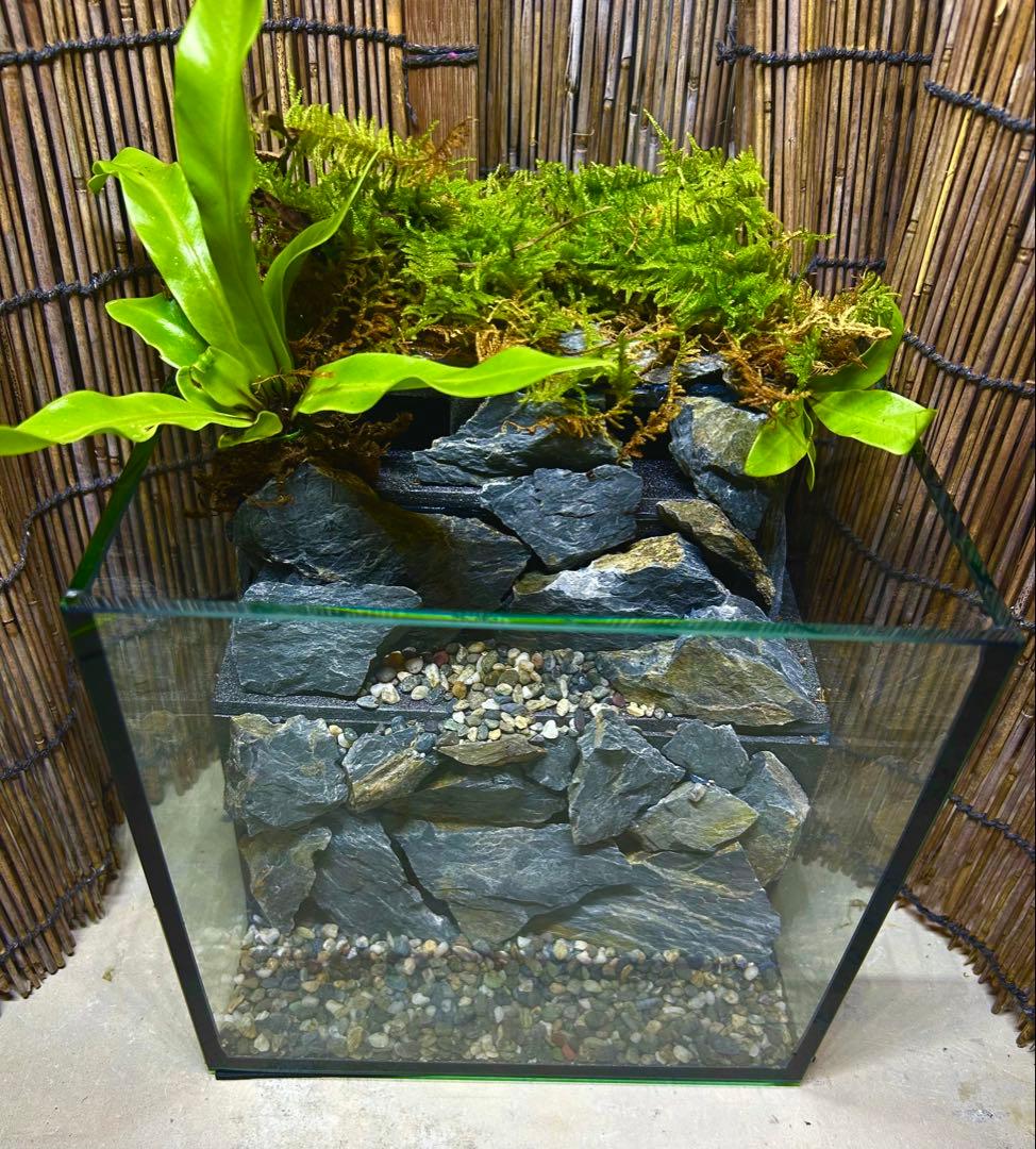 水の流れる滝テラリウム水槽　オールガラス20センチ