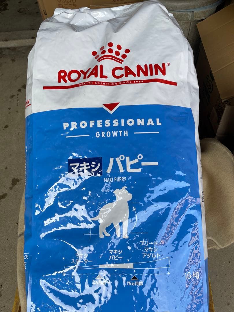 ぺいちゃん専用