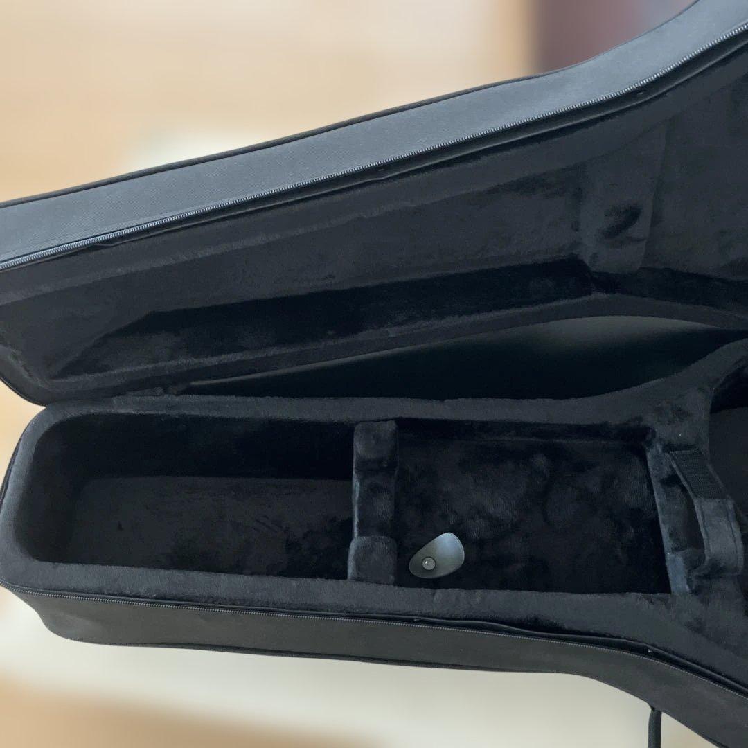 新品 PROTEC LM MX201 ドレットノート用