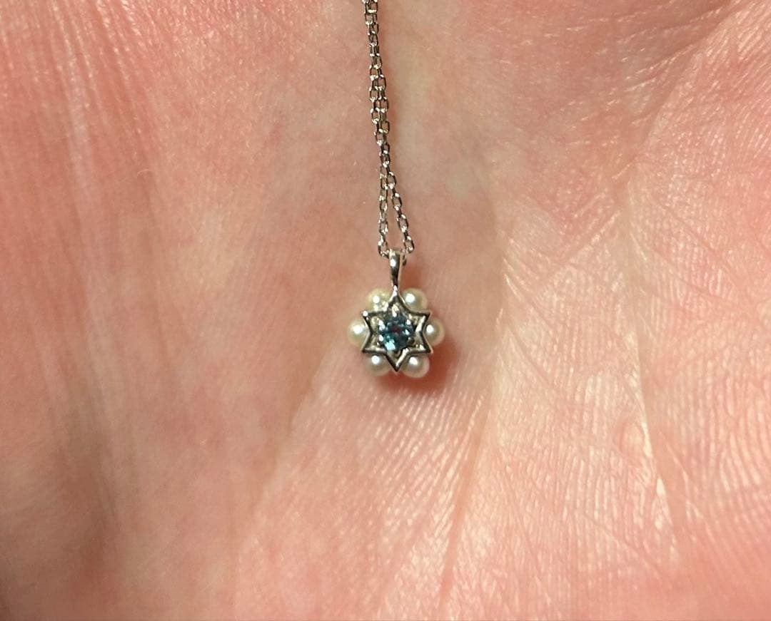 Disney シンデレラの輝き ネックレス WDN-009