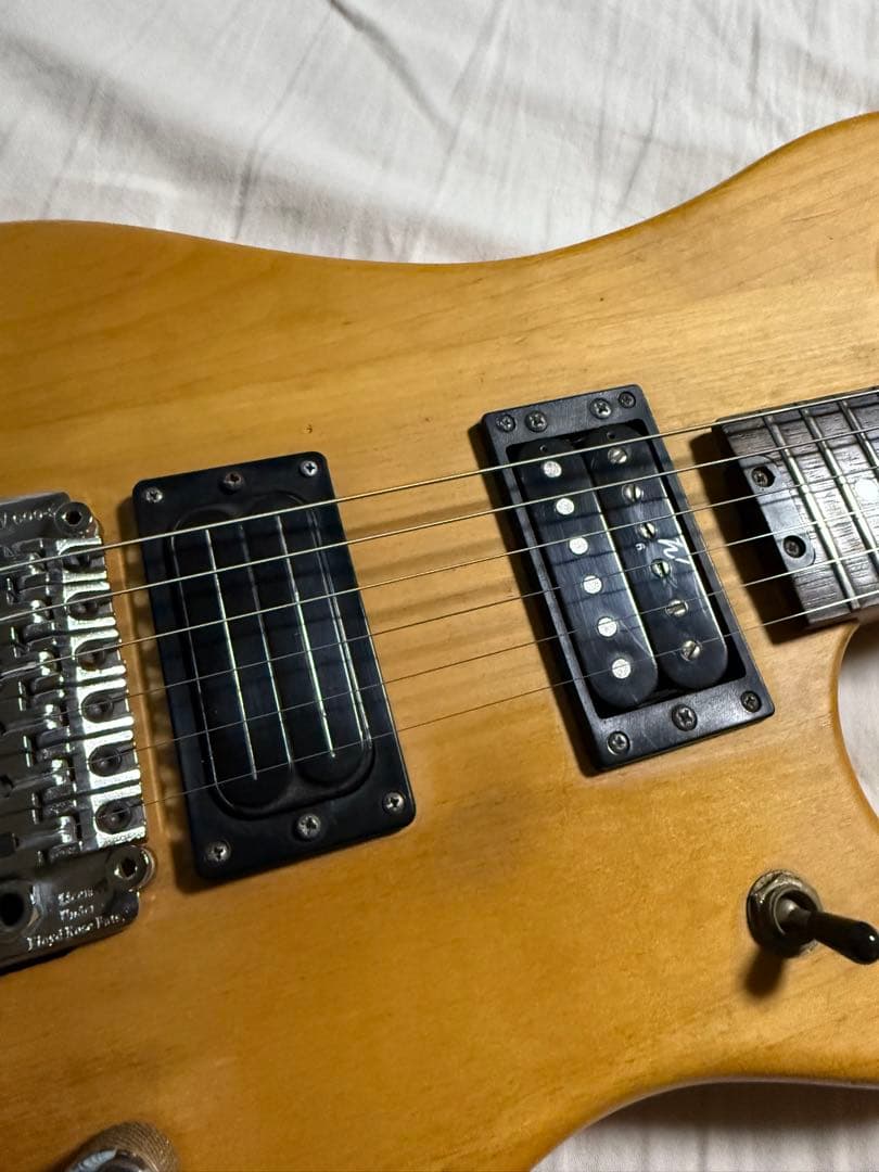 Washburn N2-NUNO ヌーノベッテンコート　ギター