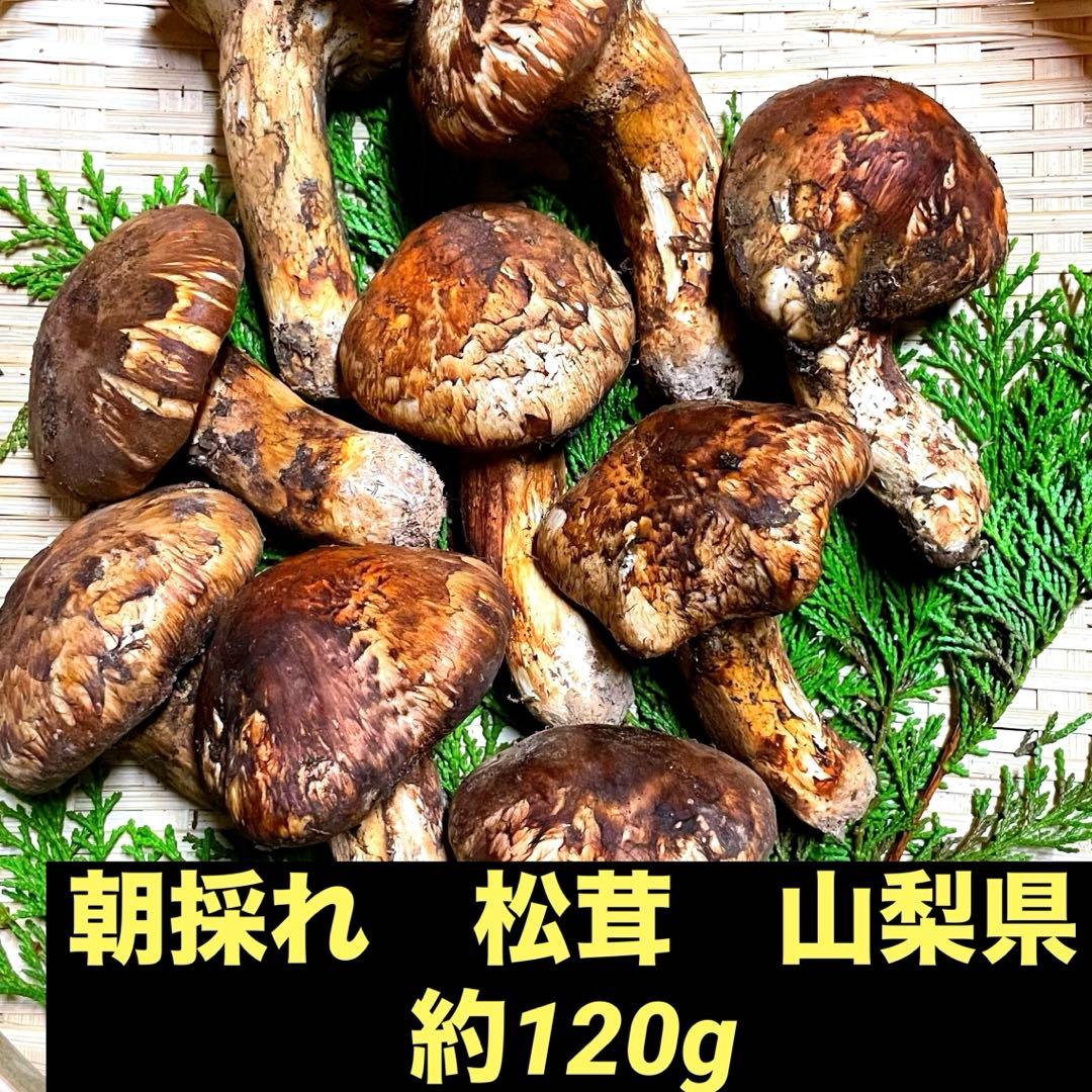 朝採れ　松茸　国産　山梨県　約100gセット