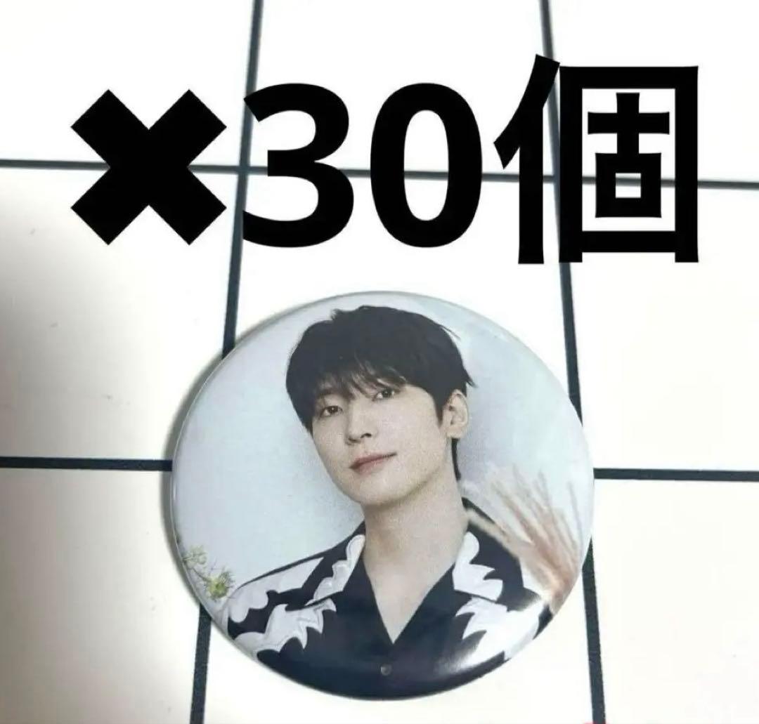 SEVENTEEN CAFE セブチカフェ 2024 缶バッジ ウォヌ30個