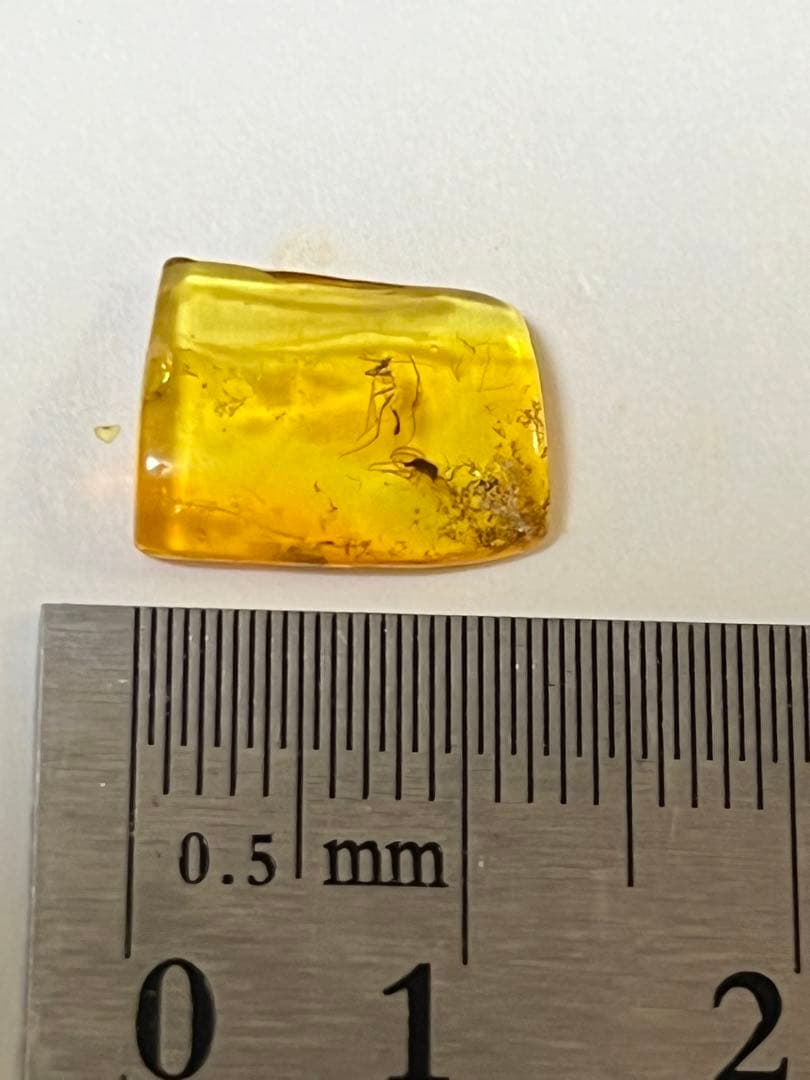 バルト海産　虫入り琥珀　12個セット　全て虫入り　本物保証　良いコンディション