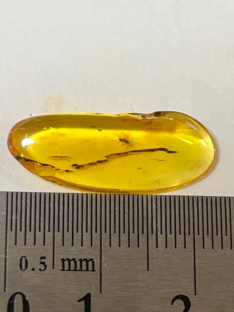 バルト海産　虫入り琥珀　12個セット　全て虫入り　本物保証　良いコンディション