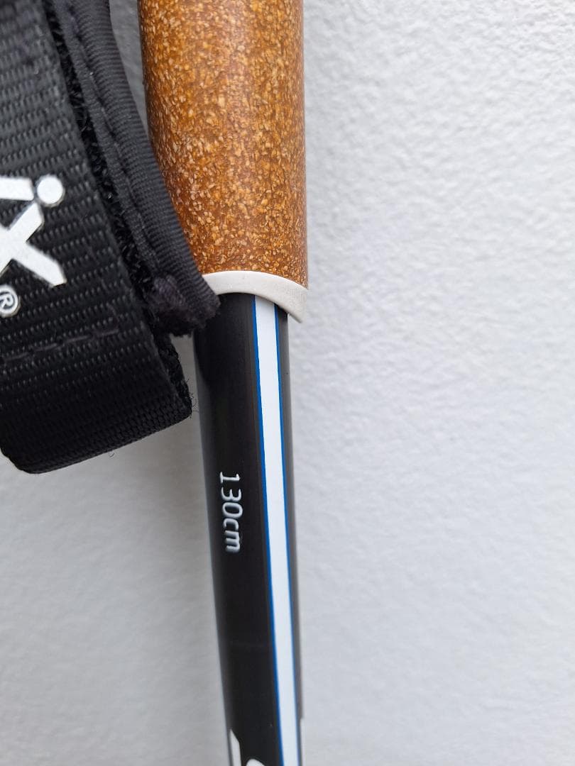 クロスカントリースキースウィックスポール