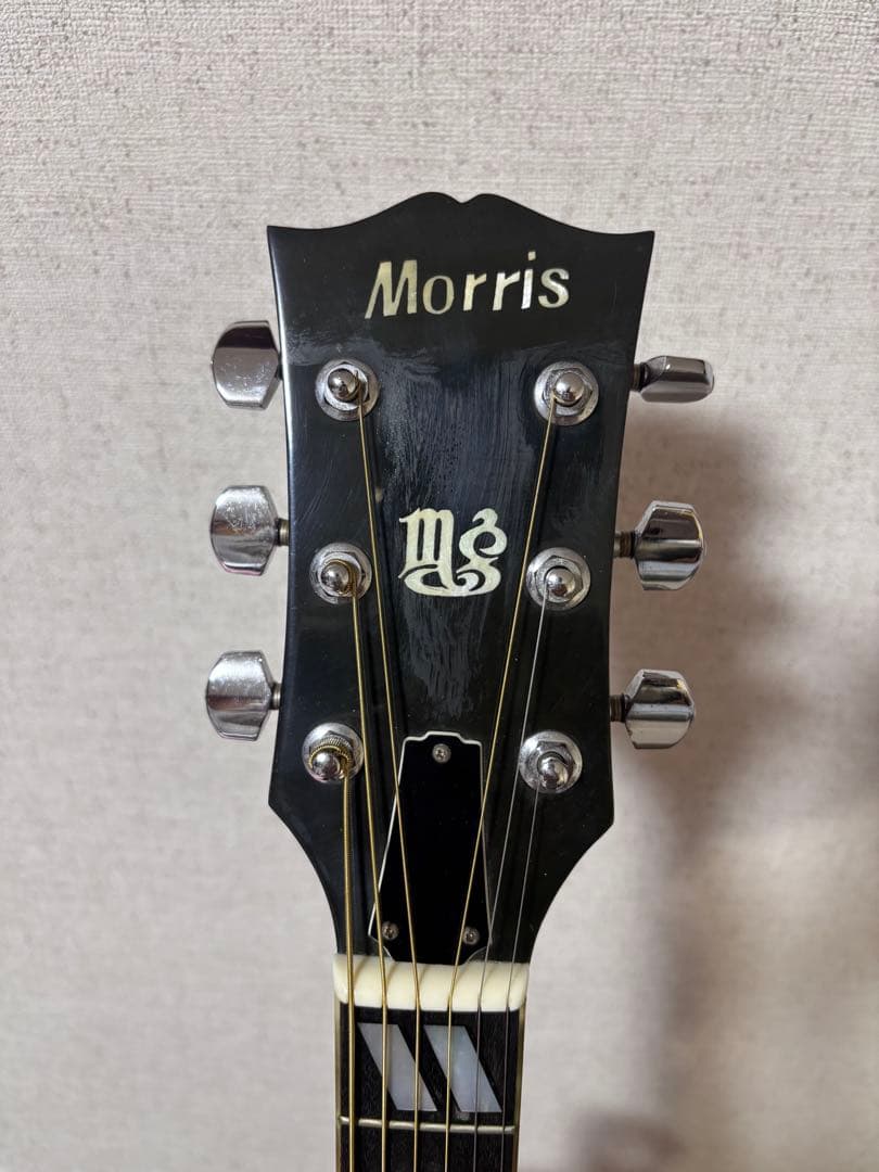 Morris MG-80オール単板 ジャパンビンテージ