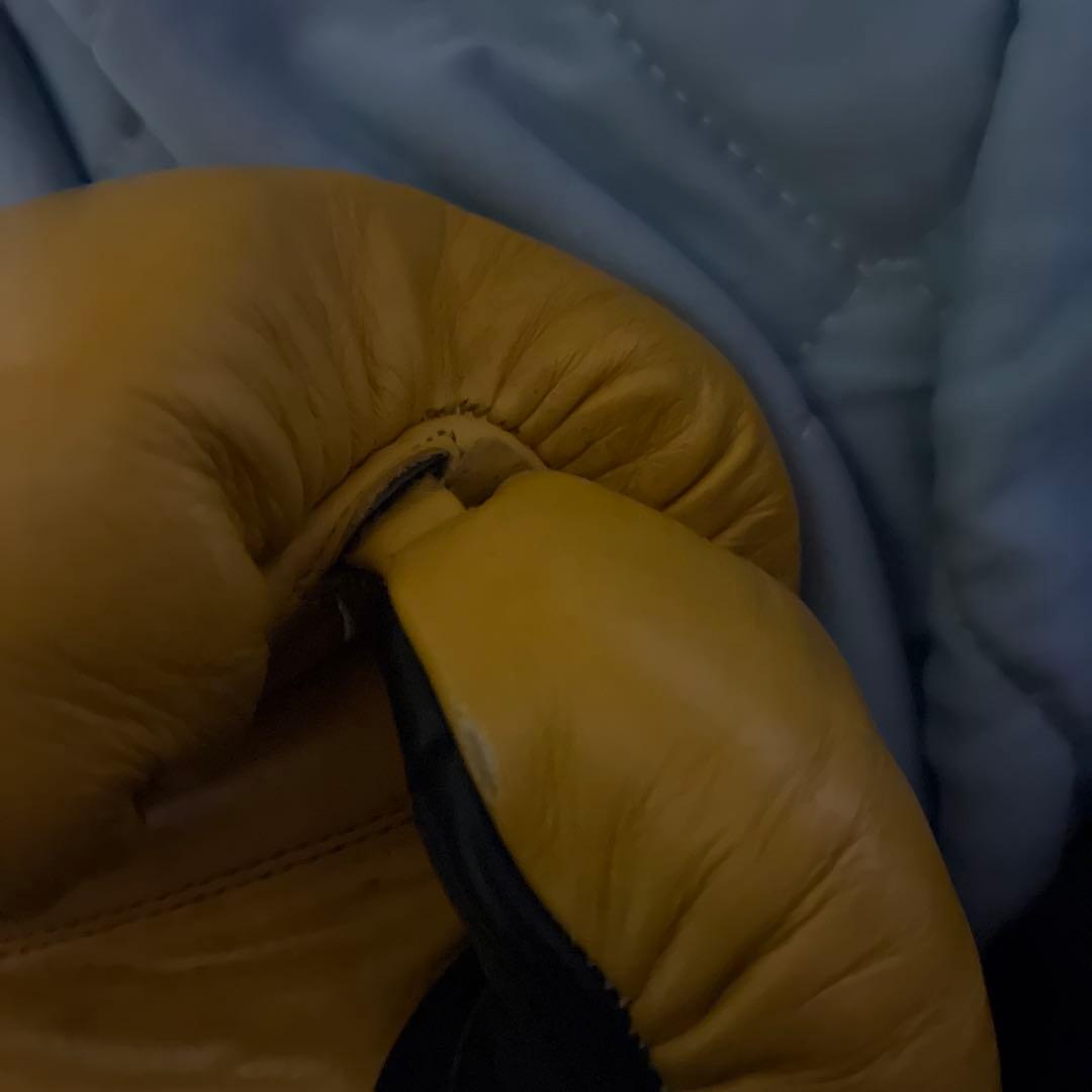 ボクシング応援キャンペーン Reyes 16oz ボクシンググローブ