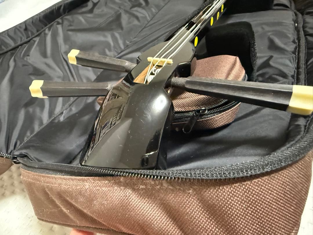 三線本体と専用ケース