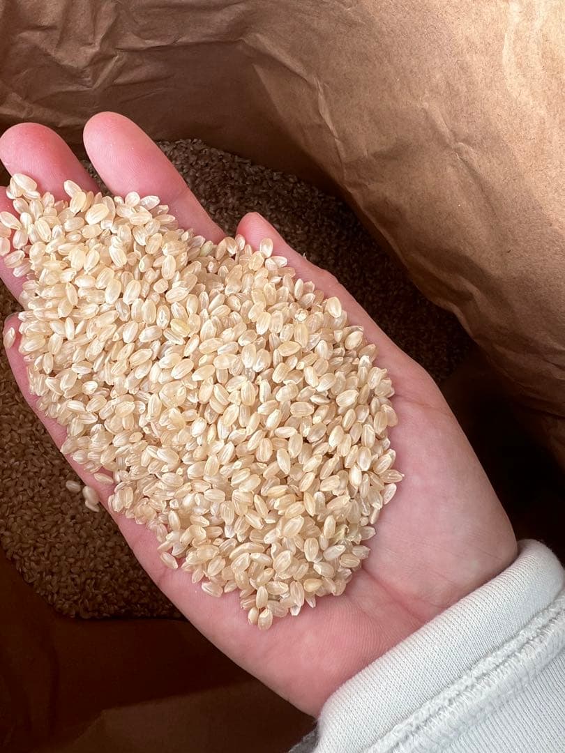 R7 新米　風さやかお米　玄米30キロkg 離島以外送料込み