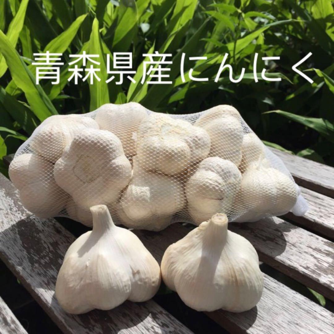青森県産にんにくLサイズ5キロ
