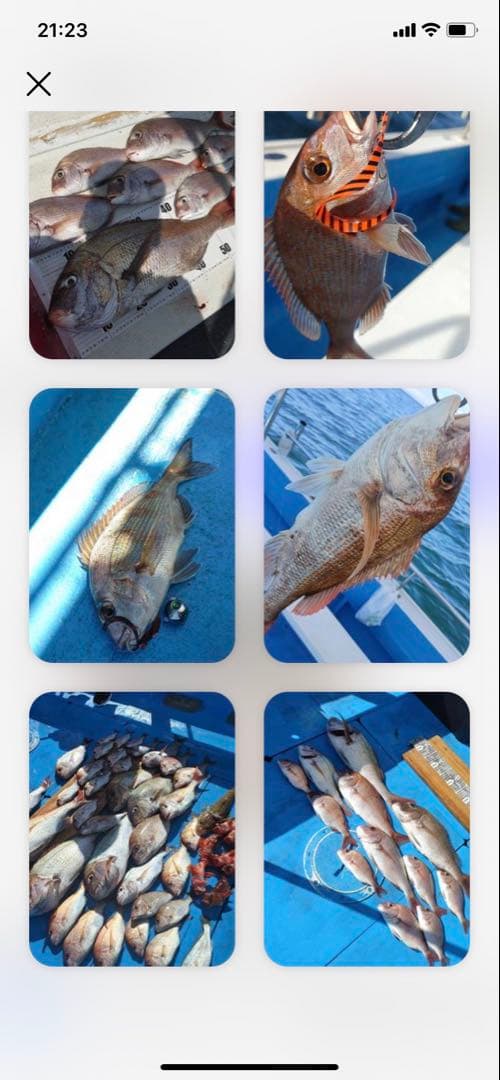 専用　レインボー120g5個シルバー60g1個80g2個100g3個120g1個