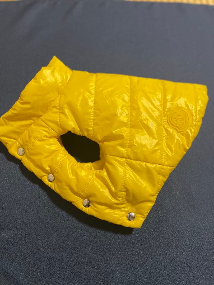 MONCLER ドッグウェア 0サイズ