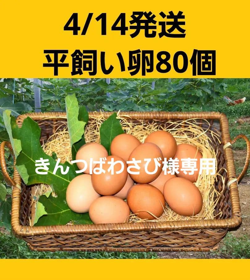 平飼い卵80個4/14常温発送きんつばわさび