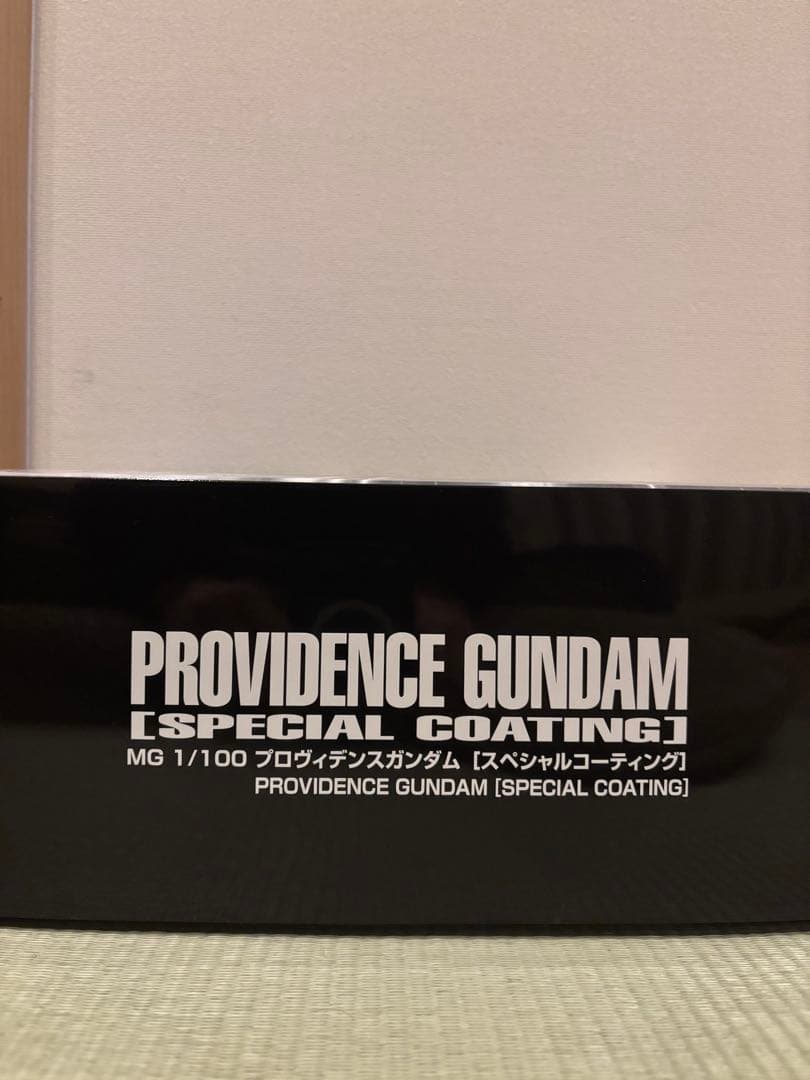 ＭＧ1/100 プロヴィデンスガンダム スペシャルコーティング マスターグレード