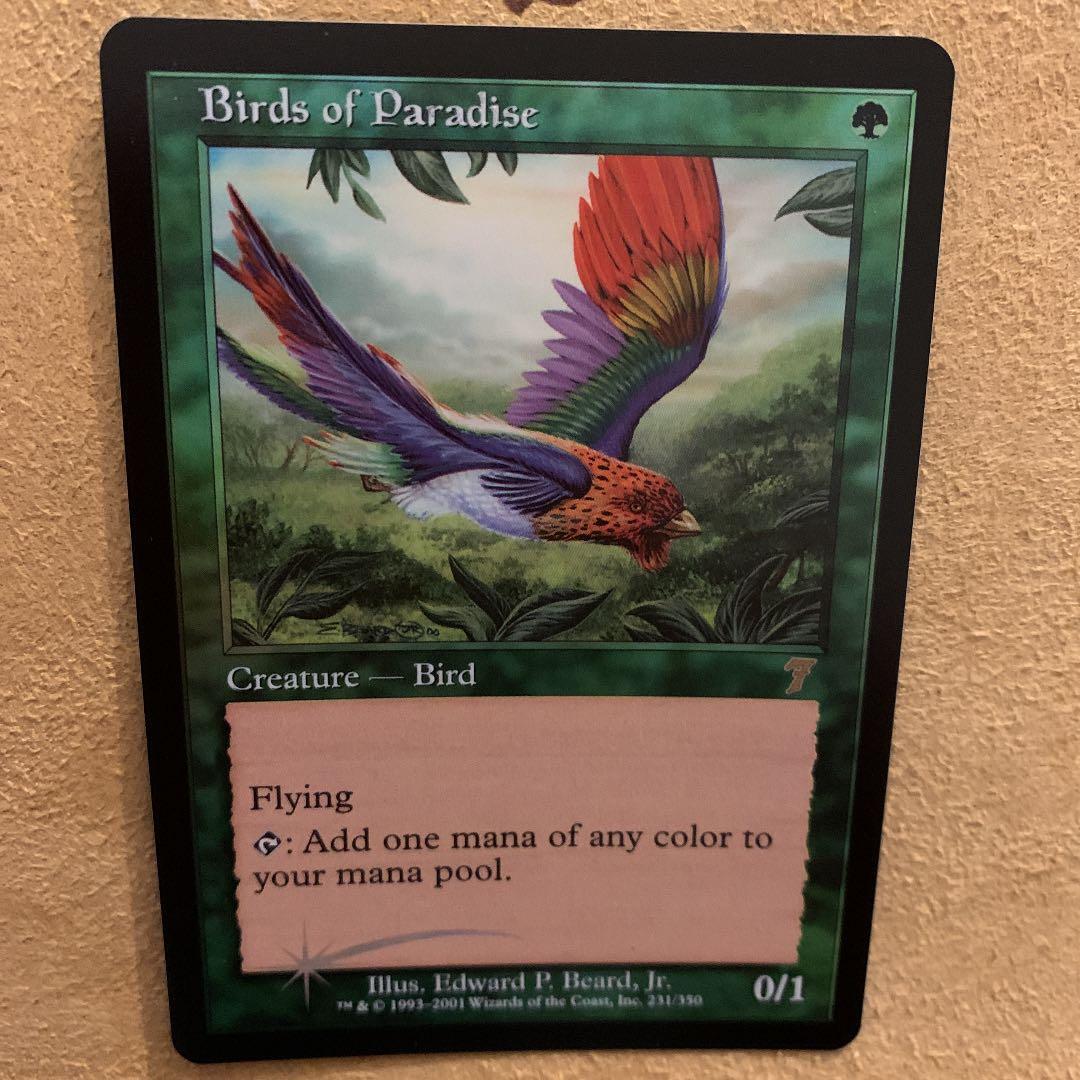 MTG 極楽鳥/Birds of Paradise 7版旧枠FOIL 英語 1枚