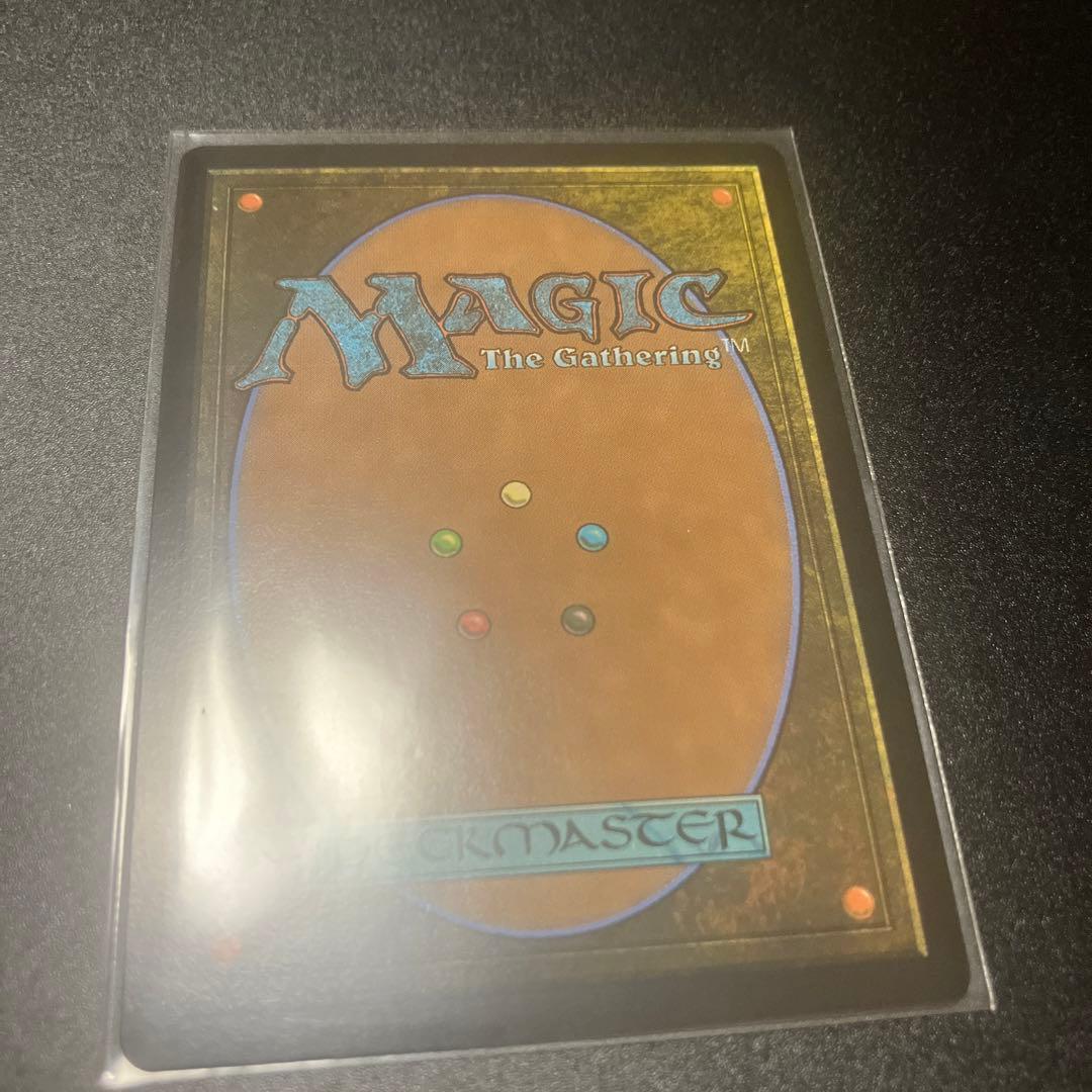 湿地の干潟　ドラゴンスケイルFOIL 日版