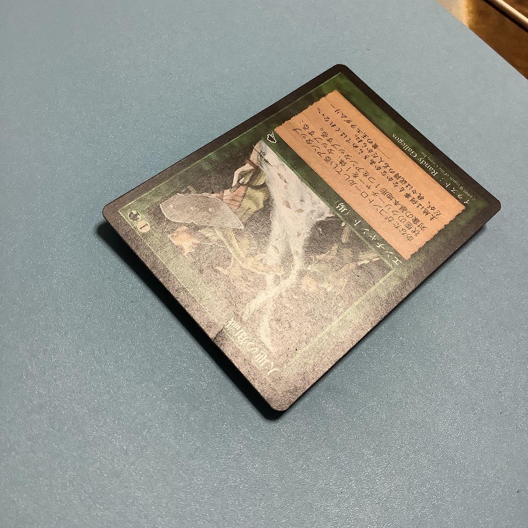 大地の知識/Earthcraft  TMP日本語