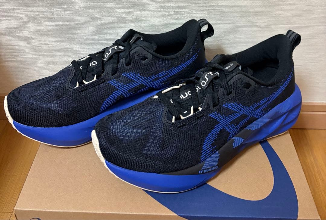 【使用1km】ASICS NOVABRAST5 ノヴァブラスト5 25.0cm