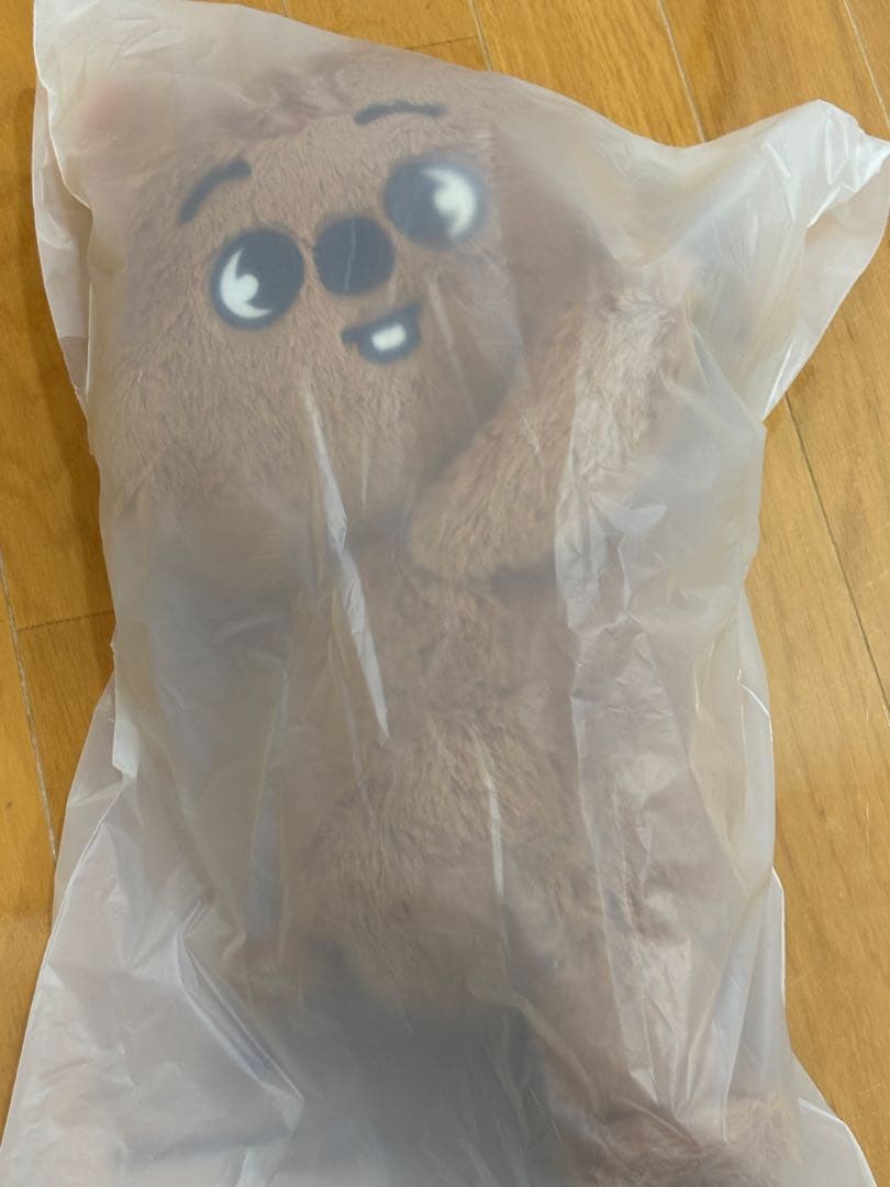 StrayKids SKZOO プラッシュバッグ plushbag ハン