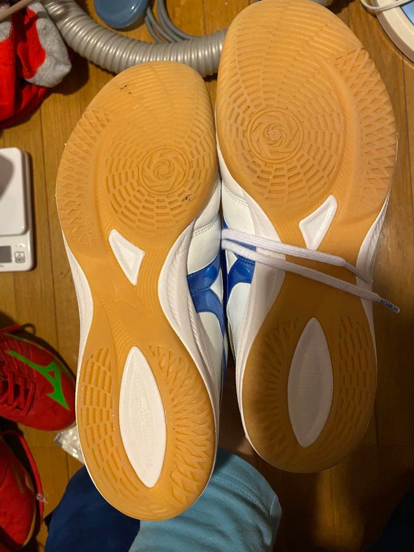 モレリア　サラ　ジャパン　イン　MIZUNO ENERZY 27.0cm