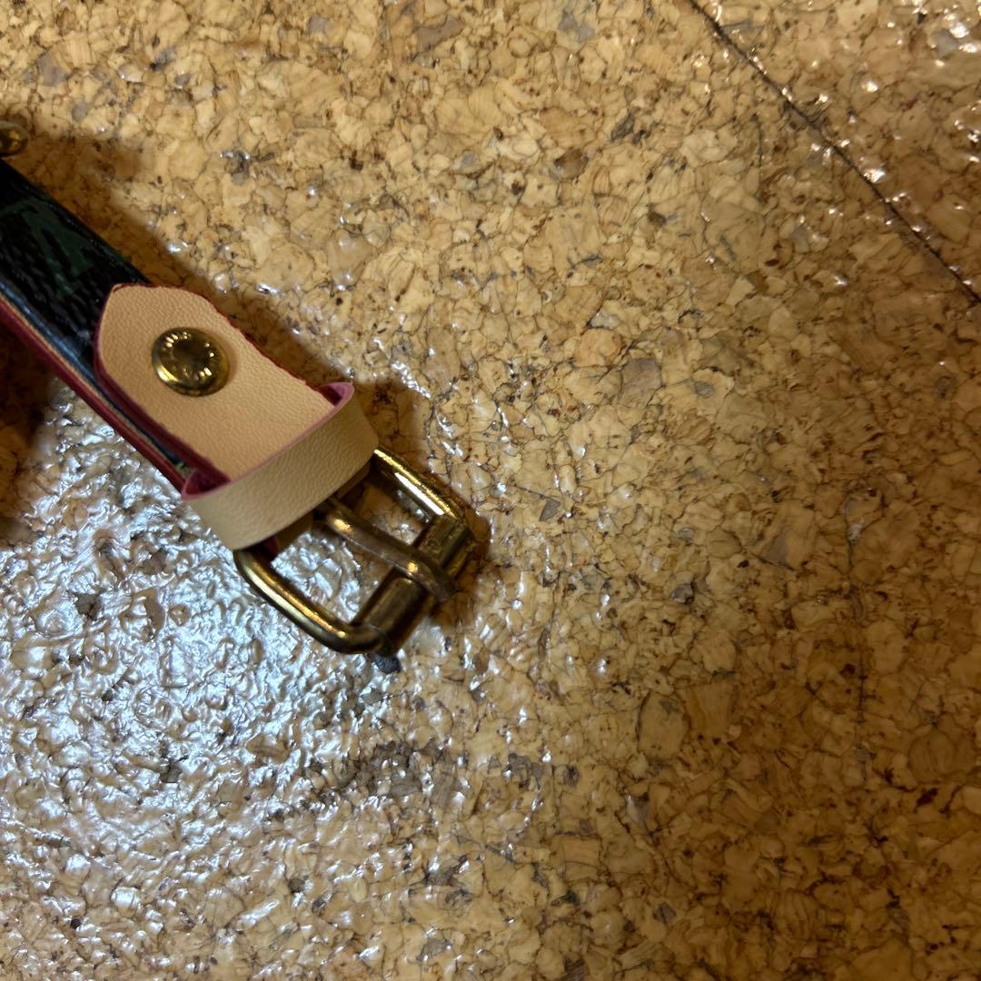 LOUIS VUITTON リード首輪セット　新品未使用