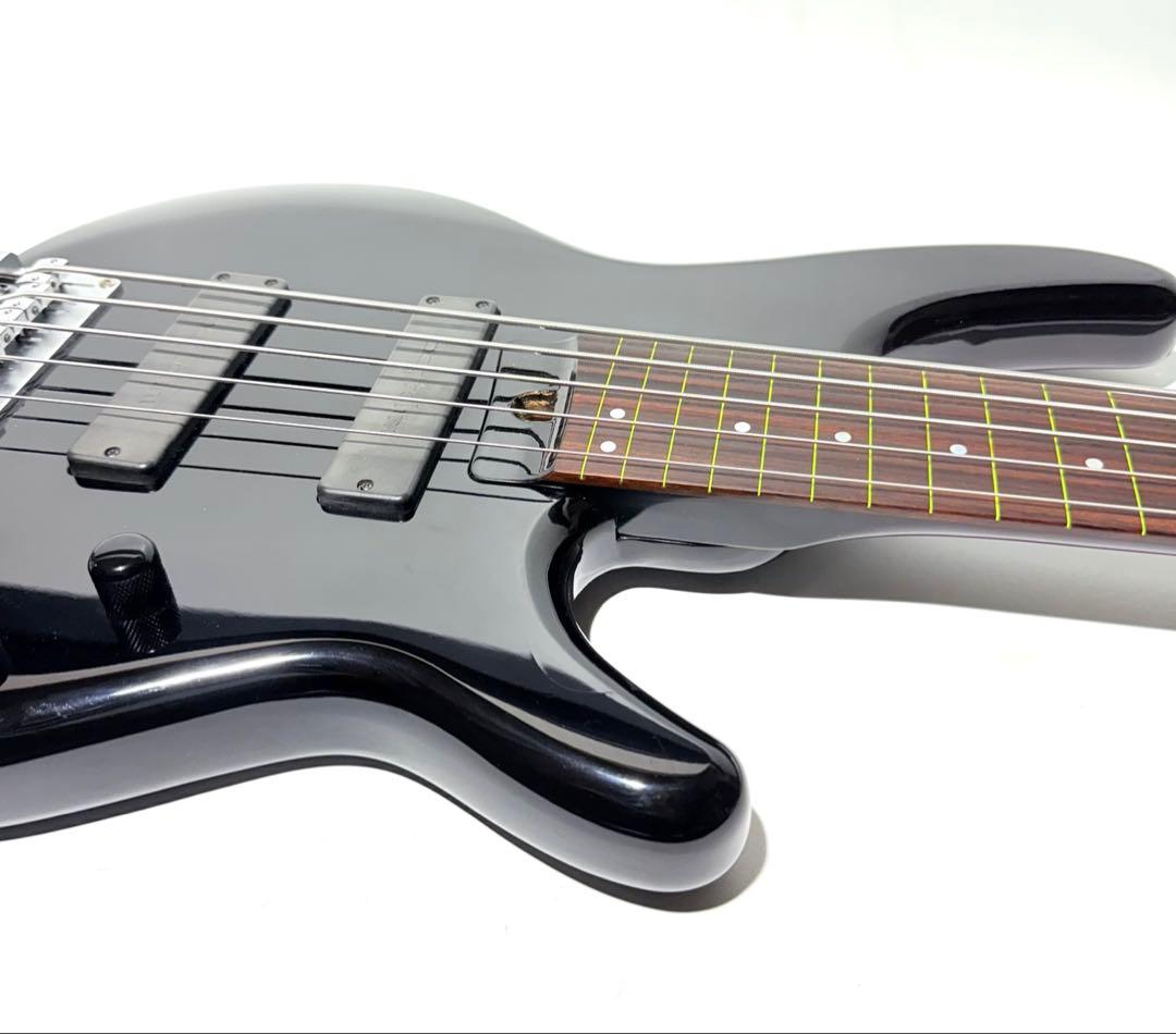 【希少】HEARTFIELD DR-5 カスタム 5弦ベース フレットレス仕様