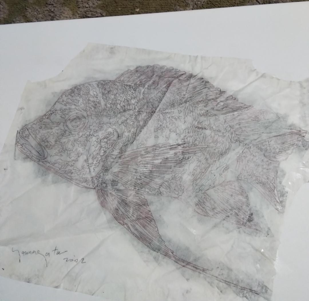 ヒロヤマガタ　巨匠真作魚直筆ドローイング鉛筆木炭画5号額無し保証書あり