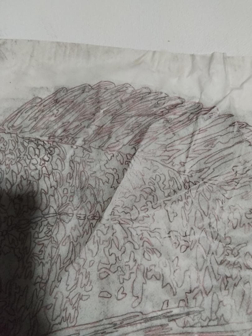 ヒロヤマガタ　巨匠真作魚直筆ドローイング鉛筆木炭画5号額無し保証書あり