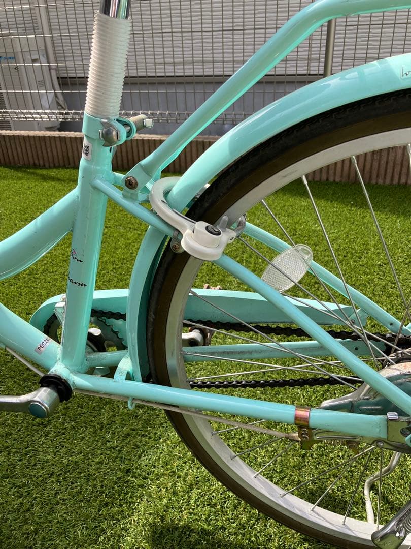 Pastel charm 24インチ グリーン