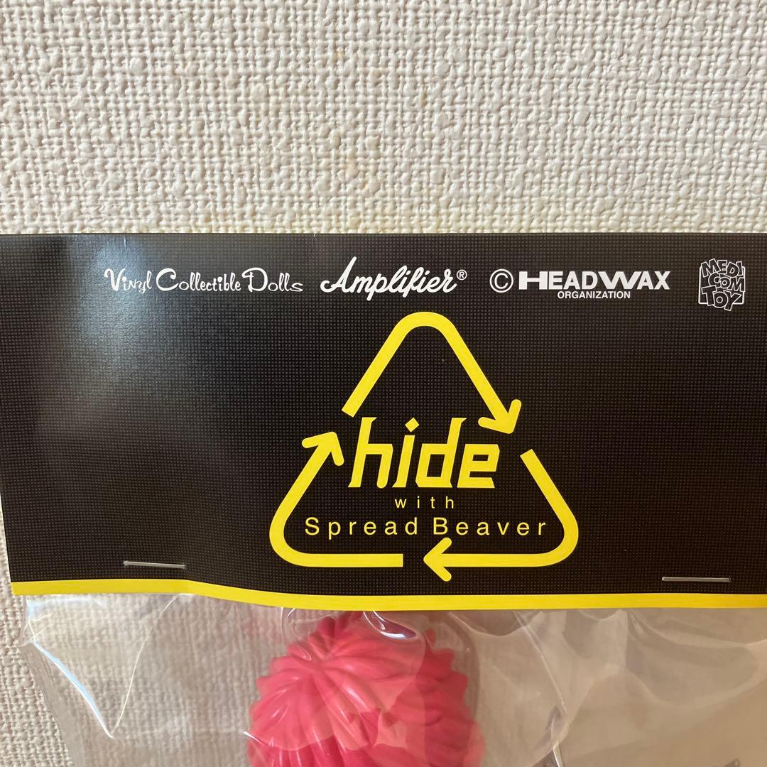 VCD Amplifier “hide”