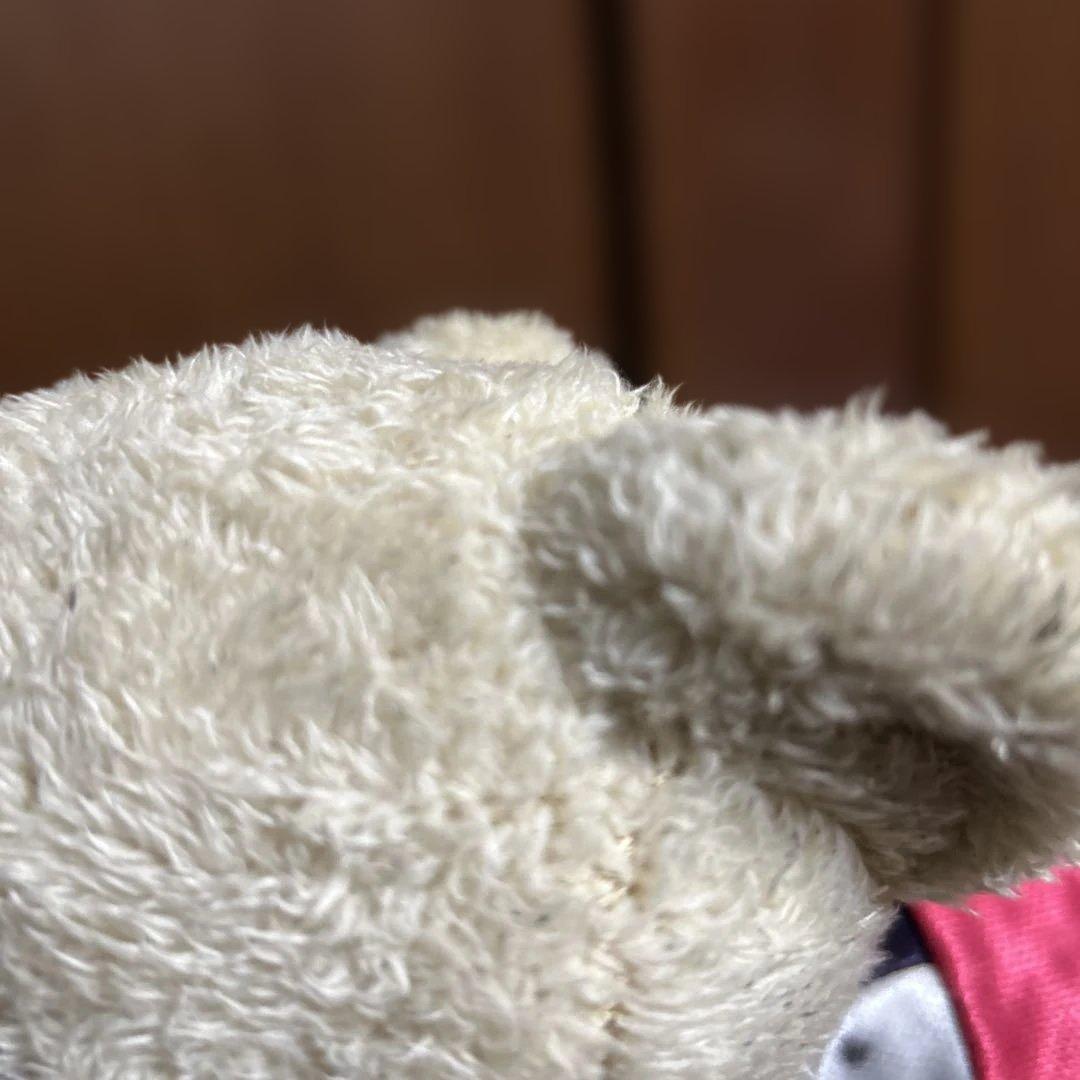 ファジアーノ岡山 テディベア サッカージャージ