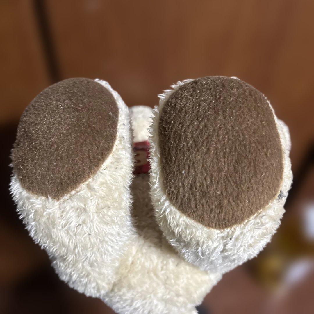 ファジアーノ岡山 テディベア サッカージャージ