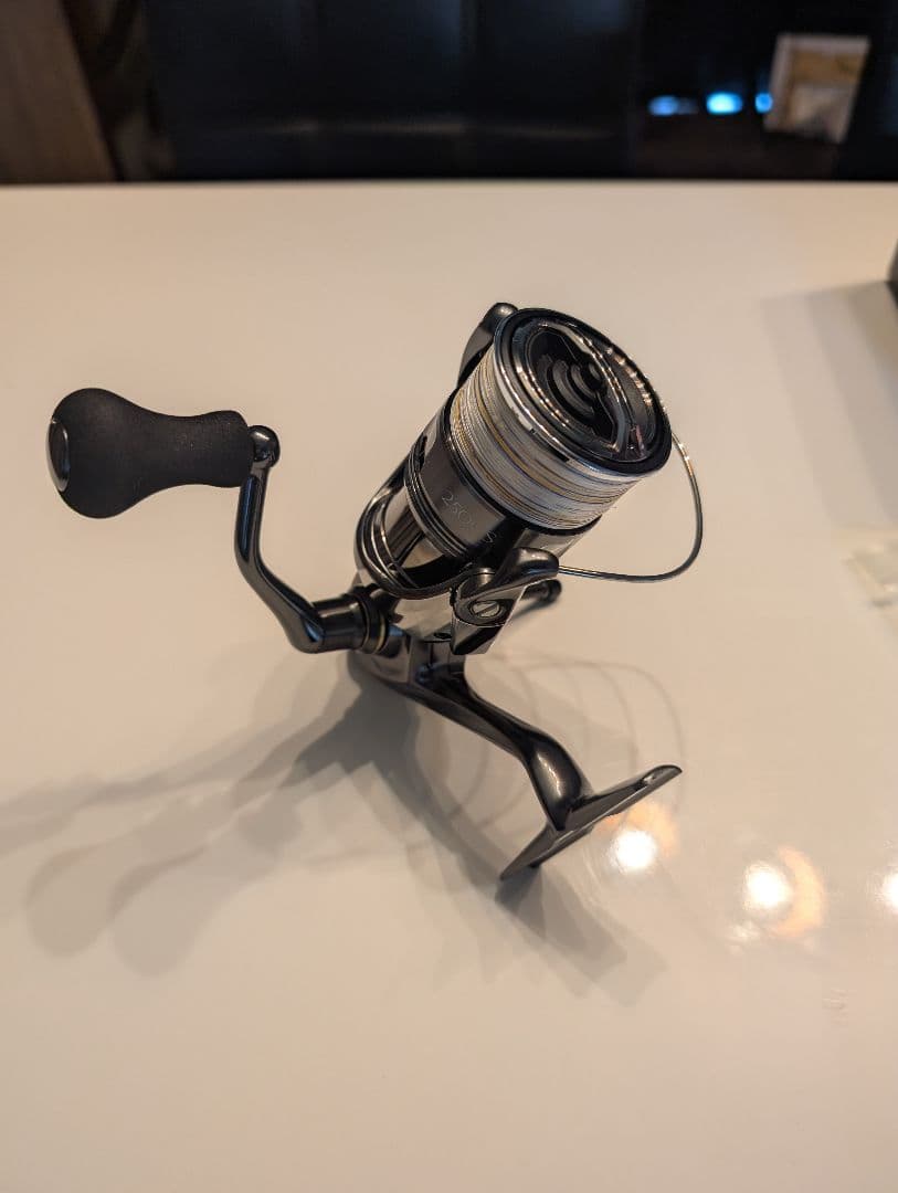 24ツインパワー 2500S ローターナット交換　ベアリング追加　カスタム品