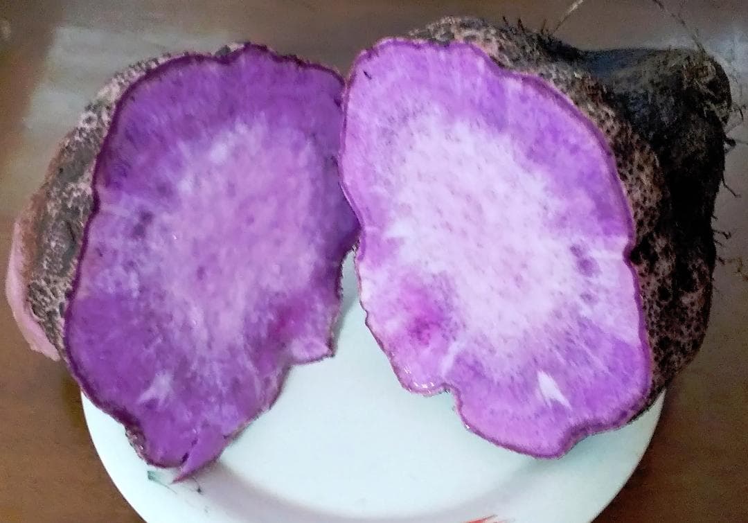 紫山芋(土付き)10kg