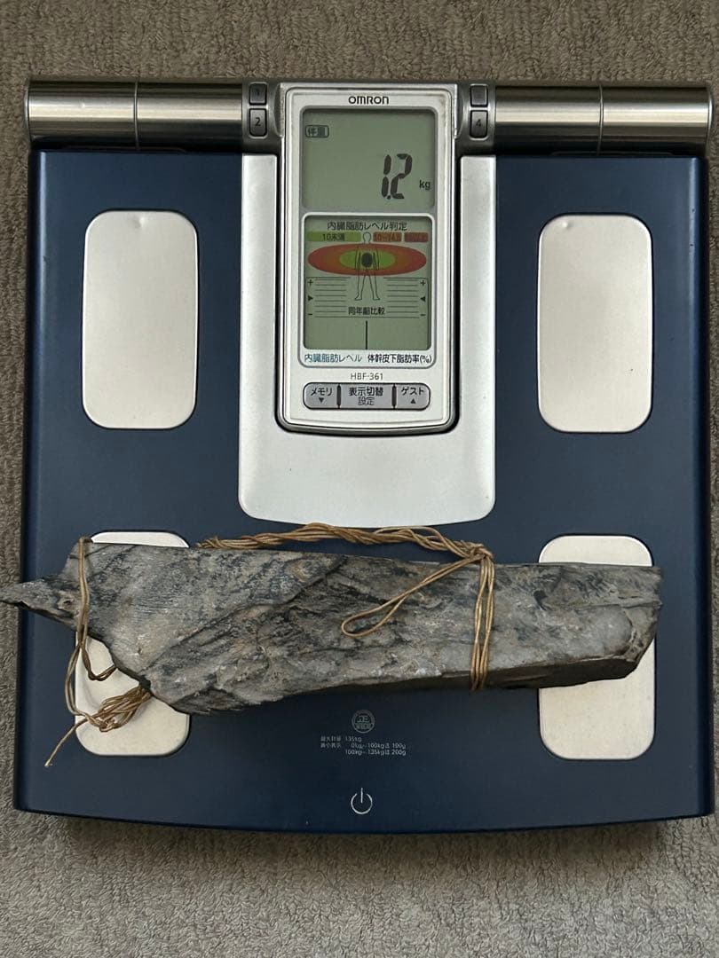 【希少・長さ28cm、約1.2kg】かんかん石 （サヌカイト)鹿叩き棒付き