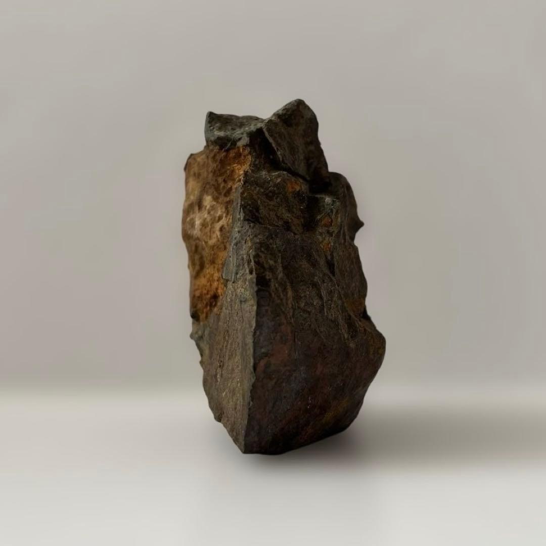 天然石　サバ菊石　約523g 鉱物　鑑賞石