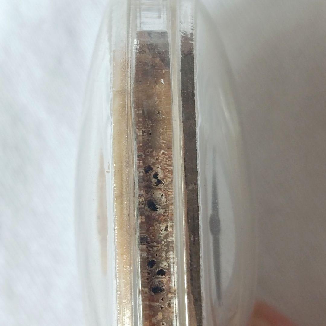 古代伝承 パンネンクンペーン　繁栄　富 プラクルアン